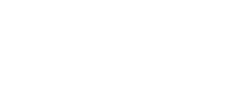 Piracy Plus Logo