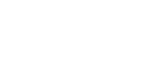 Piracy Plus Logo